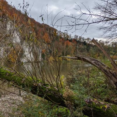 Herbst Impressionen 2020 20