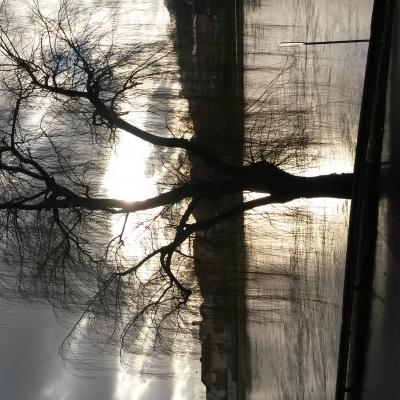 Winter Impressionen 1