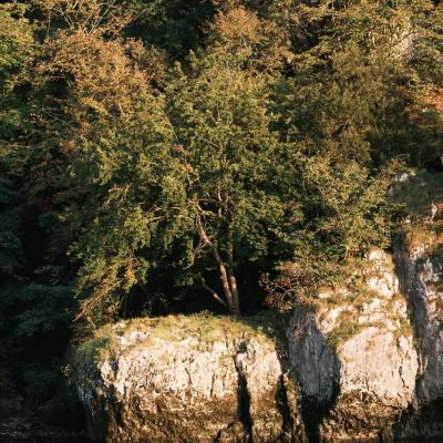 Sommer Impressionen 2021 7