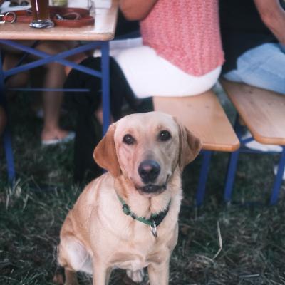 22 Kelheimer Kanutriathlon 2023 250