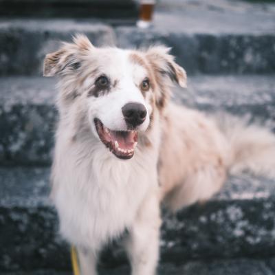 22 Kelheimer Kanutriathlon 2023 254