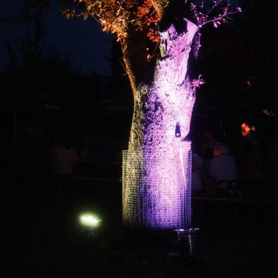 23 Kelheimer Kanutriathlon 2024 237