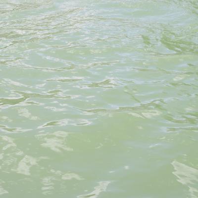 Sueddeutsche Meisterschaft 2025 258